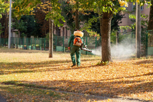 Best Best Pest Control Companies  in Bridgeport, TX